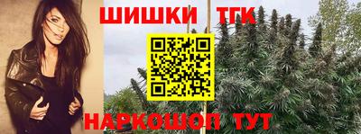 spice Кизляр