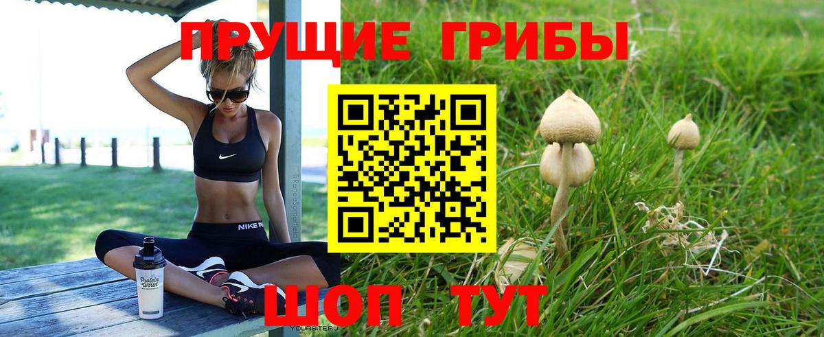 Галлюциногенные грибы GOLDEN TEACHER Бийск