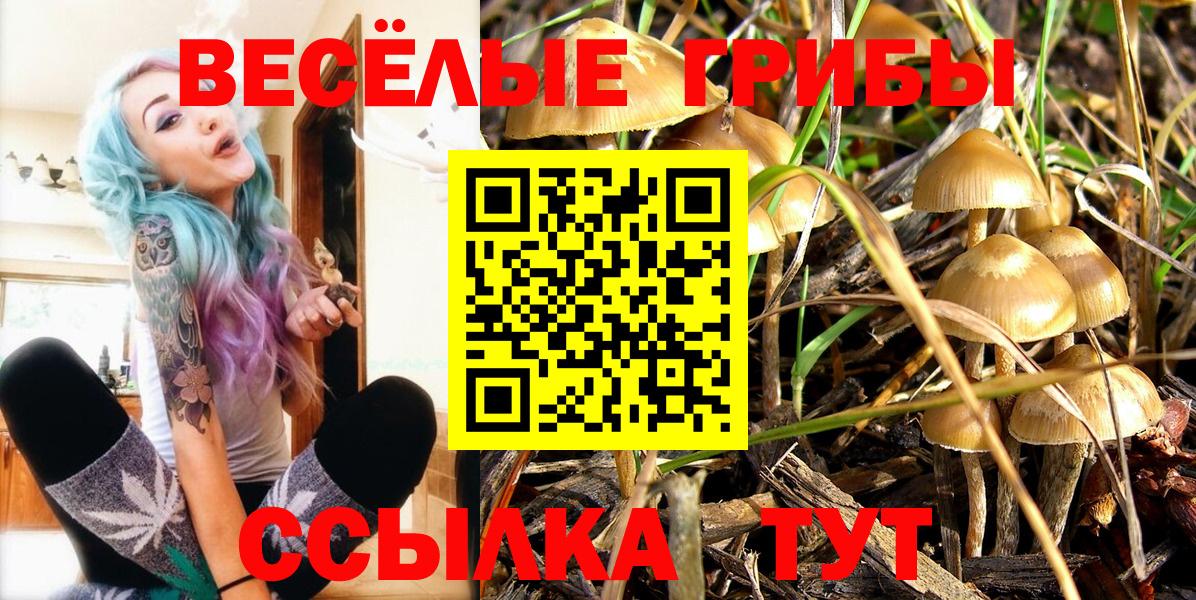 Бийск  Галлюциногенные грибы мицелий  Вход с VPN  Псилоцибиновые грибы Psilocybe 